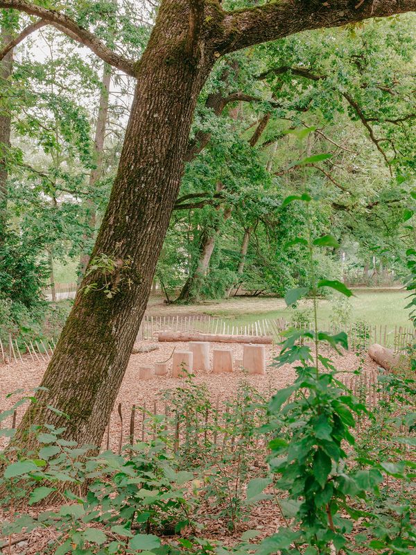 Forêt urbaine du quartier de l'Étang – sous-bois ludique